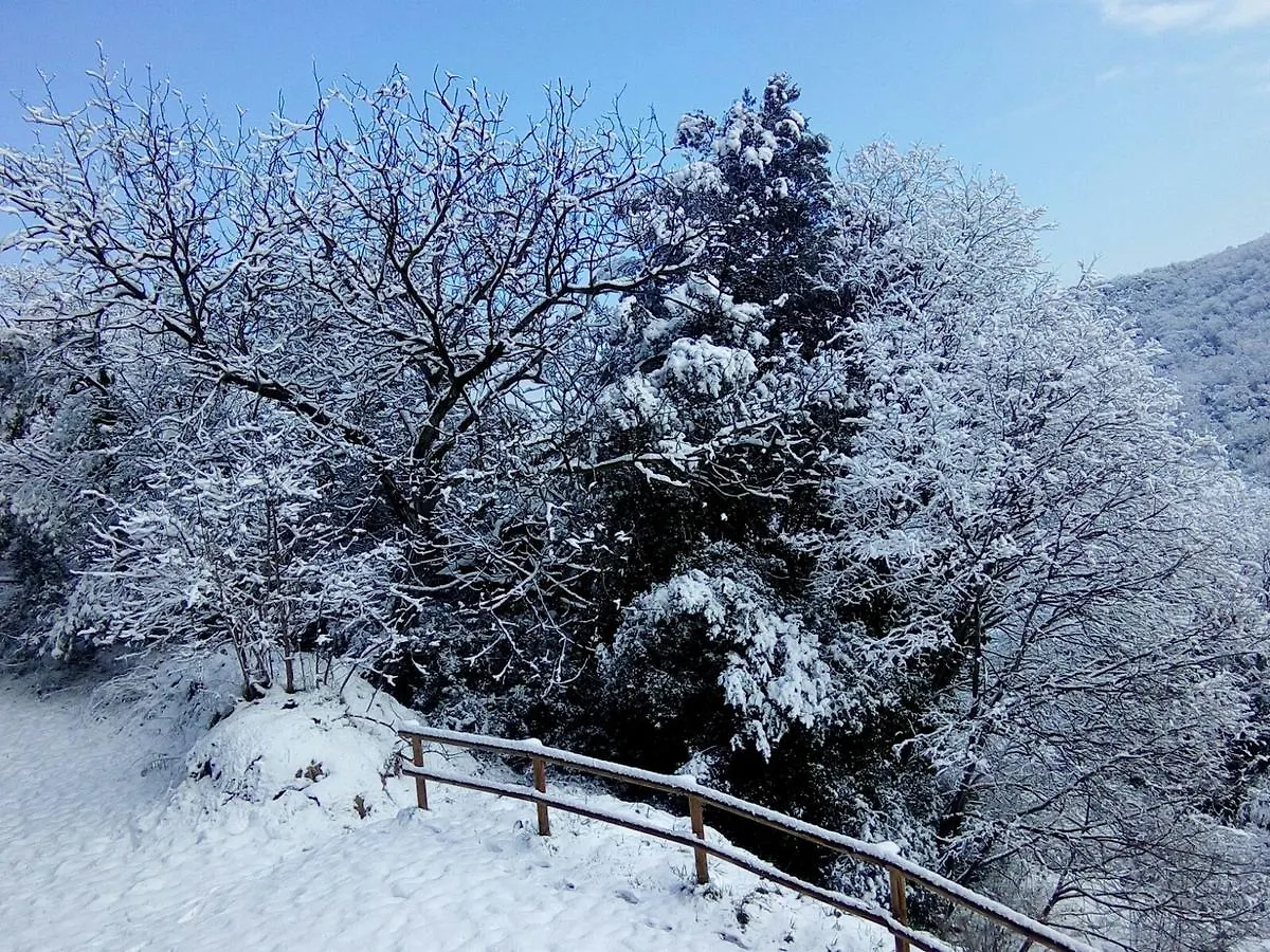 Mas Pardas Santa Pau 0*,